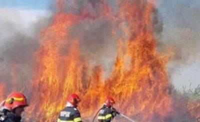 incendiu-vegetatie