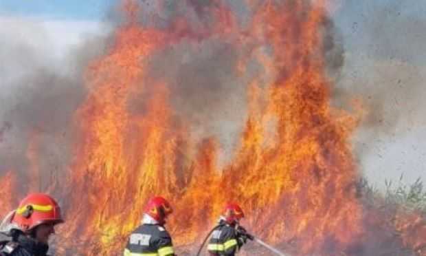 Incendii de vegetaţie pe marginea autostrăzii A1. Focul a pornit de la fumatul în locuri nepermise sau neprotejate corespunzător