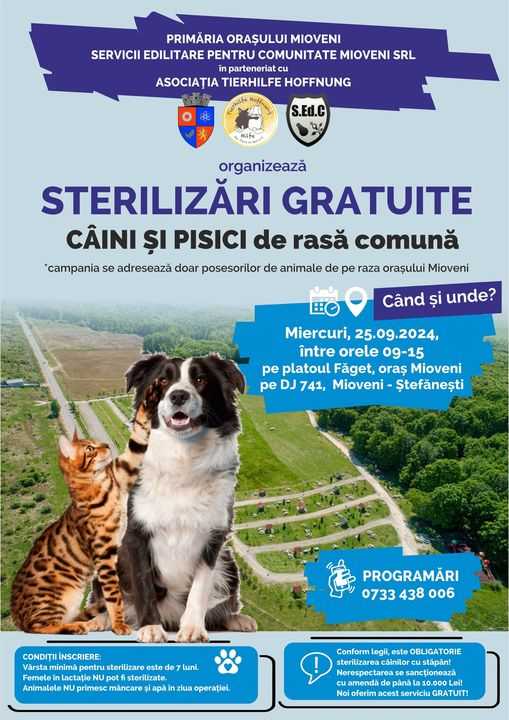 O nouă campanie de sterilizări gratuite pentru câini și pisici la Mioveni