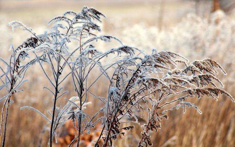 Îngheț în România, la început de septembrie. Unde s-a înregistrat cea mai scăzută temperatură