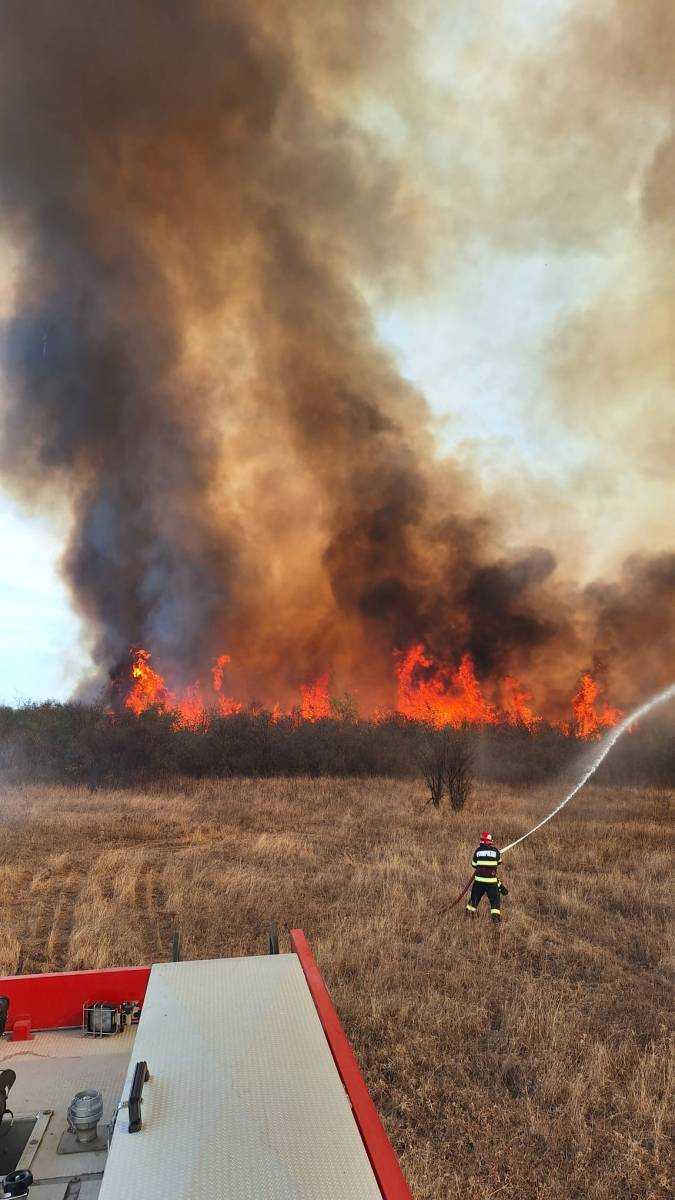 Video. Arde la Leordeni, în Argeș!