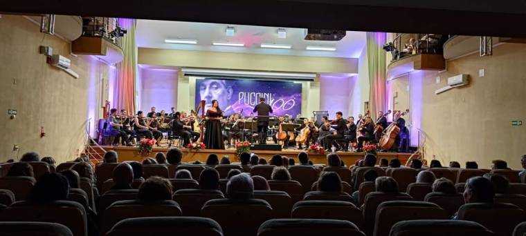 Filarmonica Pitești caută voluntari