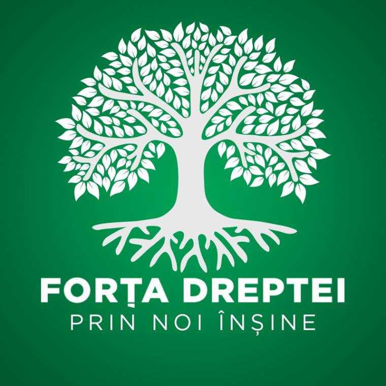 Forța Dreptei, pagubă de sute de mii după europarlamentare