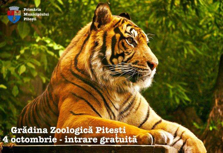 Intrare gratuită la ZOO Pitești. Vezi când