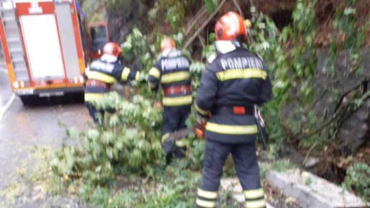 Traficul rutier, blocat pe Valea Oltului după ce un copac a fost doborât de vânt pe șosea