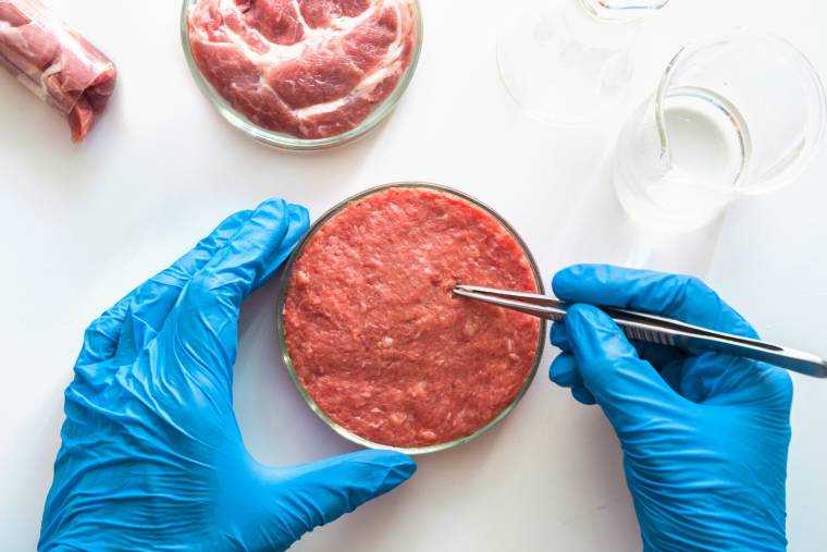 România va produce carne hibrid. Ce vor conține produsele obținute în laboratorul de la Timișoara