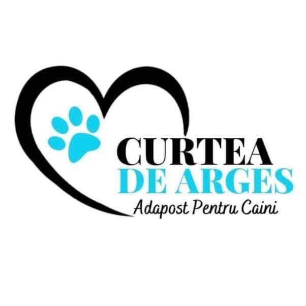 Curtea de Argeș. O nouă campanie de sterilizare a animalelor de companie