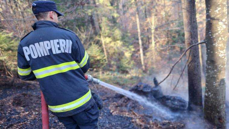 Incendiu la Rucăr, în pădure