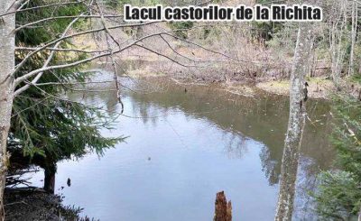 13-lacul-castorilor-de-la-richita-1583