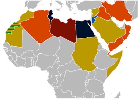 28 Decembrie 2010: Începe “Primavara Arabă” în Algeria (mișcarea populară împotriva conducerii acestei țări)