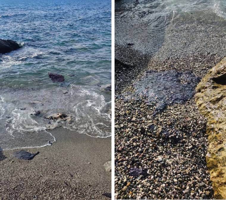 Autoritățile sunt în alertă. Dezastru ecologic în Marea Neagră