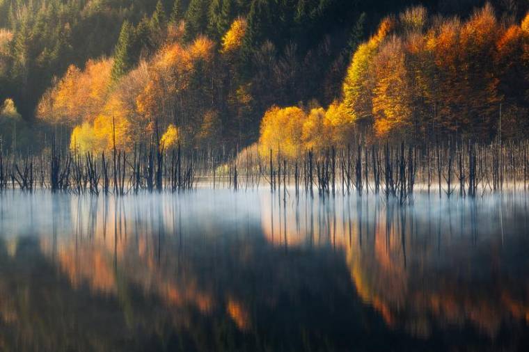 Un român de 18 ani, printre câștigătorii concursului Travel Photographer of the Year 2024