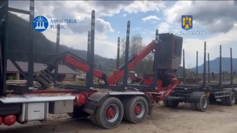 Camion de zeci de mii de euro, confiscat în Argeș. Transporta lemne fără acte