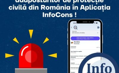 infocons-aplicatie-adaposturi-civile
