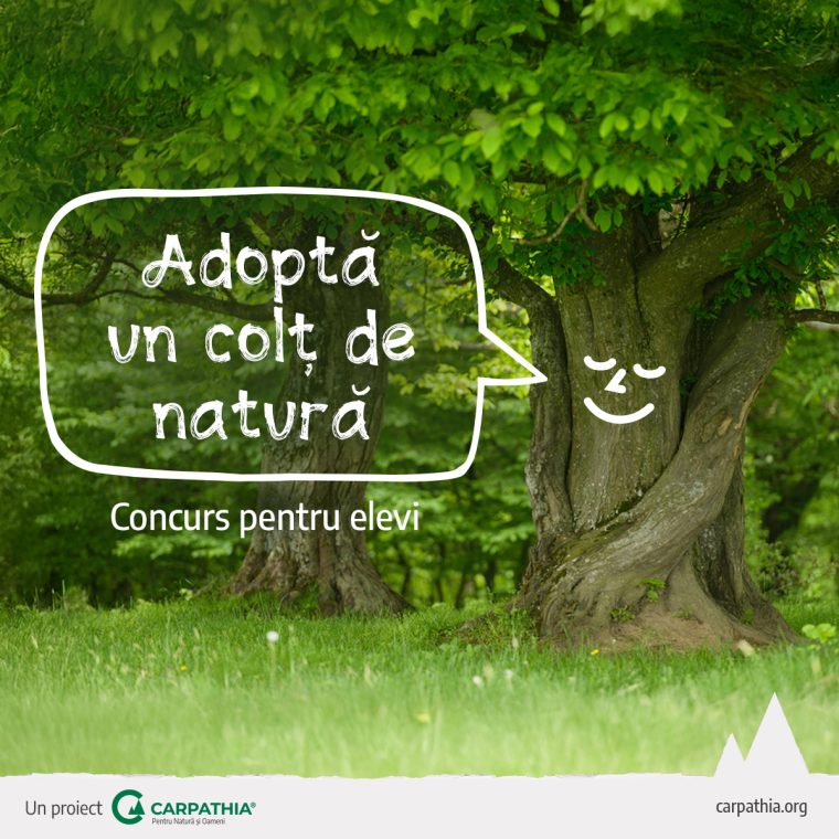 Concursul „Adoptă un colț de natură” la a treia ediție. Elevii cu cele mai bune proiecte, excursie în Parcul Național Pădurile Bavareze din Germania.