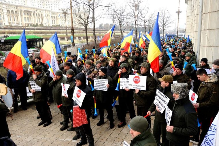 Silvicultorii organizează, miercuri, un mare miting în Piața Victoriei