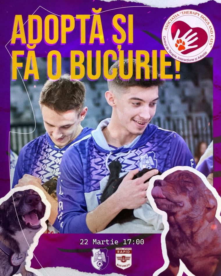 FC Argeș Basketball-Rapid București, un meci special la care vor fi prezentate animăluțele Therapy Dogs & Cats