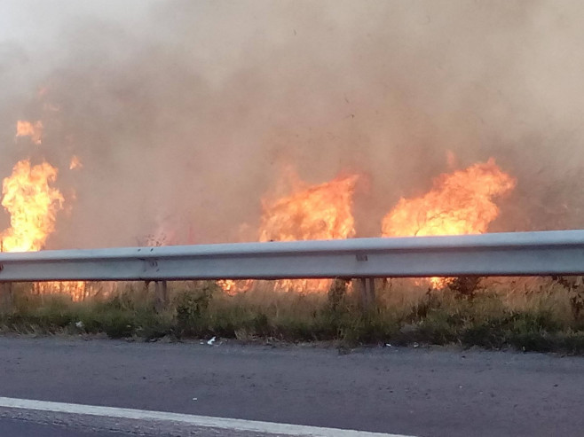 Incendiu de vegetație lângă Autostrada București – Pitești, la kilometrul 51