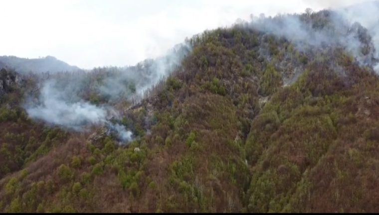 Video. A fost chemat un elicopter Black Hawk care să stingă incendiul din pădurea de la Cetățeni
