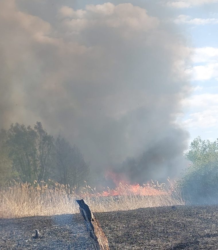 Incendii violente în Argeș, la Merișani și Budeasa