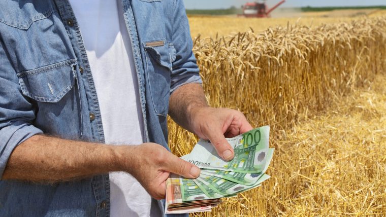 Ministerul Agriculturii lansează „Creditul fermierului”. Cine sunt beneficiarii eligibili