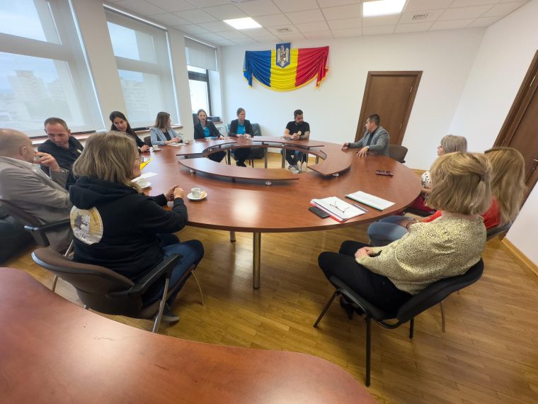 CJ Argeș: Ședință de lucru pe tema soluțiilor pentru gestionarea situației câinilor fără stăpân