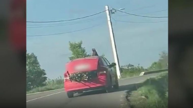 Copil transportat în portbagajul plin cu lemne