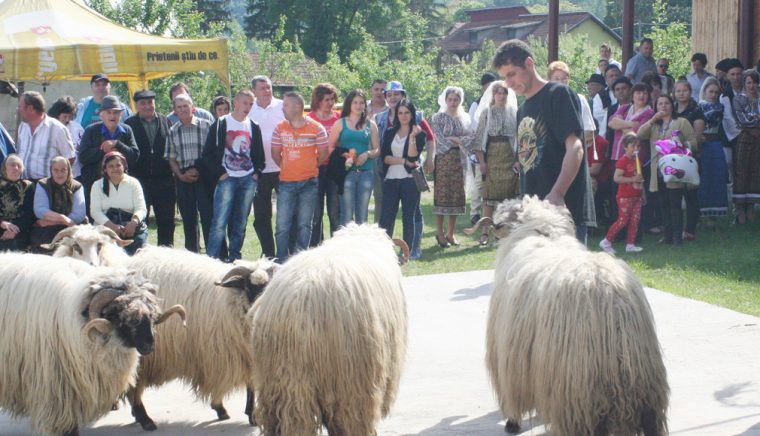Încep serbările câmpeneşti în Muscel