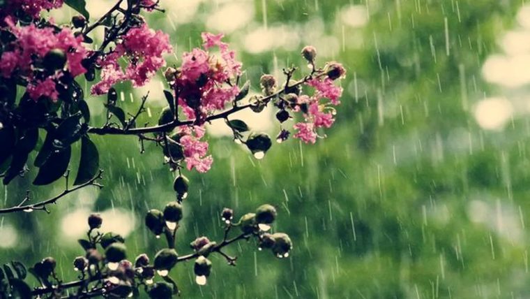 Meteo. Cât mai durează ploile și frigul