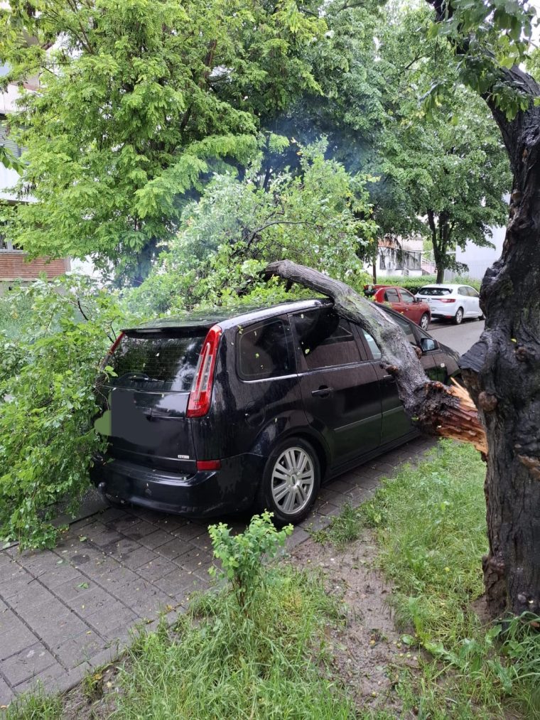 Trei copaci căzuți la Pitești. Vremea rea le dă pompierilor de lucru