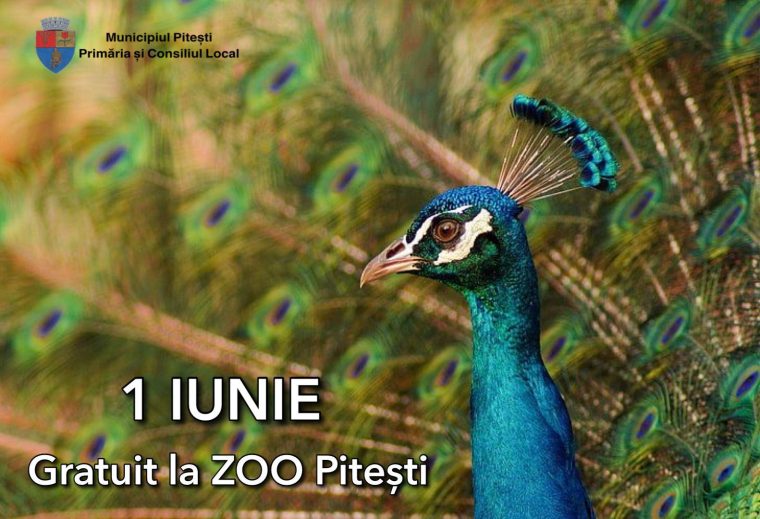 Intrare gratuită la Grădina Zoologică din Pitești, de 1 iunie
