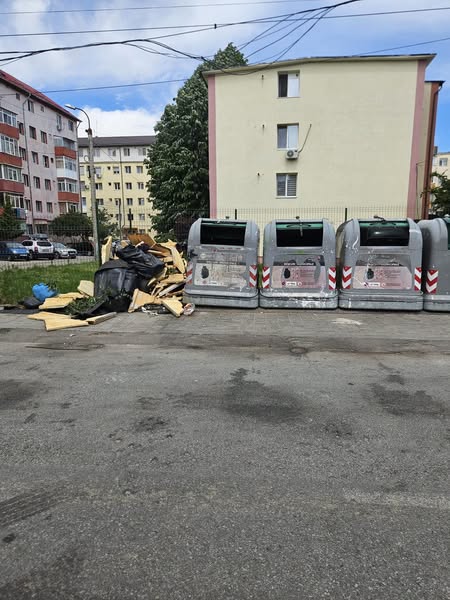 Amendă de la polițiștii locali pentru o piteșteancă.  Aceasta a aruncat deșeurile din construcții lângă platforma de gunoi
