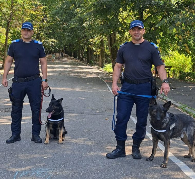 Peste 250 de jandarmi argeșeni vor fi la datorie pe raza județului în minivacanța de Rusalii