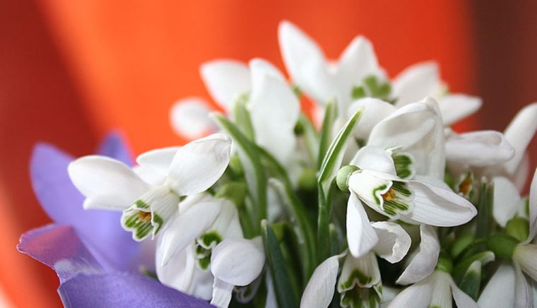 Felicitare – Constantin Bîlea, primarul comunei Oarja
