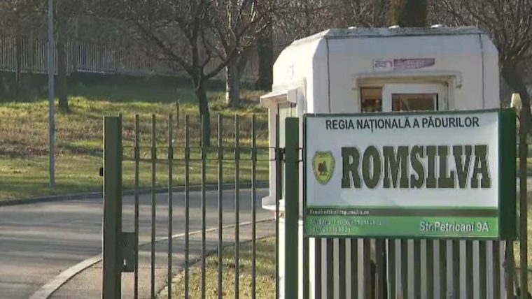 Curtea de Conturi: plăţi necuvenite de peste 216 milioane de lei acordate salariaţilor Romsilva