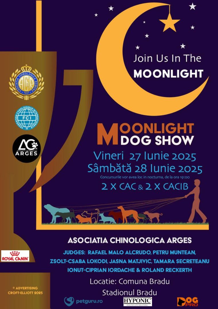 Spectacol canin în nocturnă la Bradu. Începe cea de a doua ediție a Moonlight Dog Show, pe 27 și 28 iunie 2025