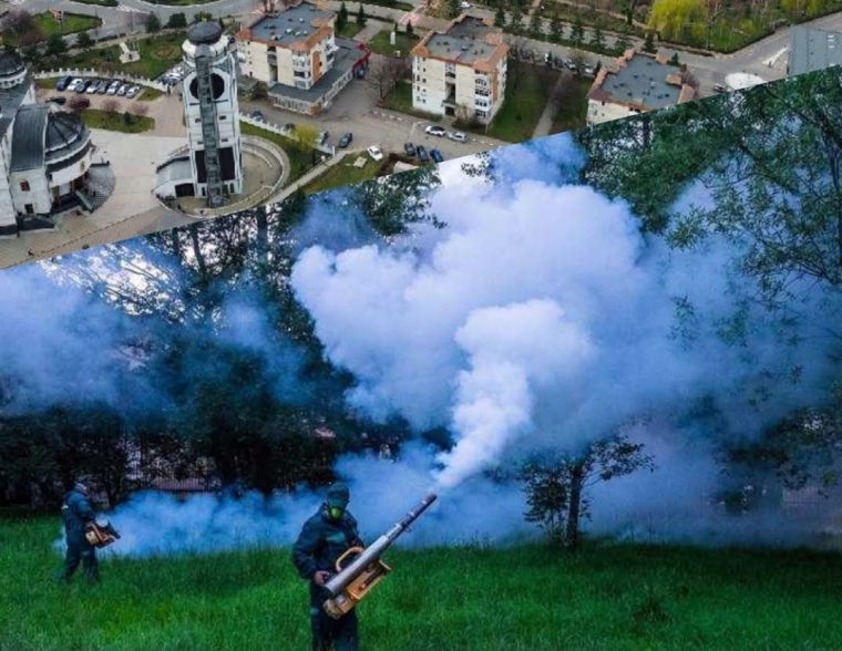 În operațiunile de dezinsecție, la Mioveni se vor folosi substanțe toxice pentru albine!