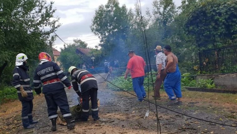 Pădurea Trivale, în pericol de a lua foc