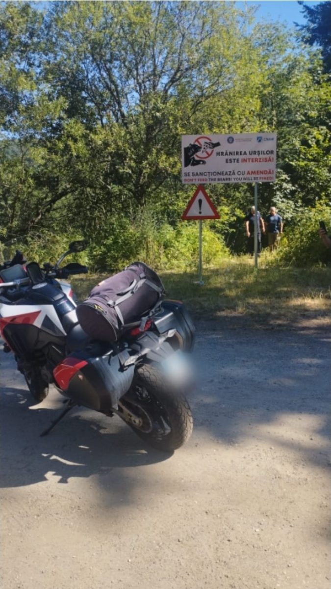 Motociclist omorât de urs la Vidraru