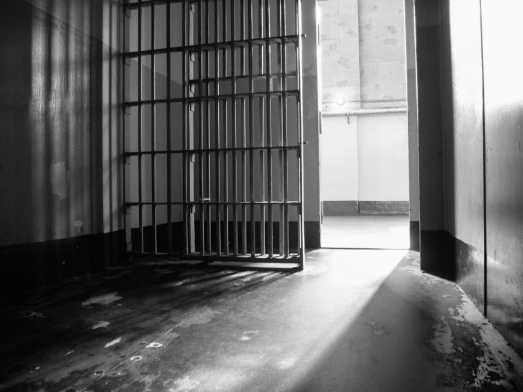 Un tânăr care a omorât un pui de câine a fost arestat preventiv