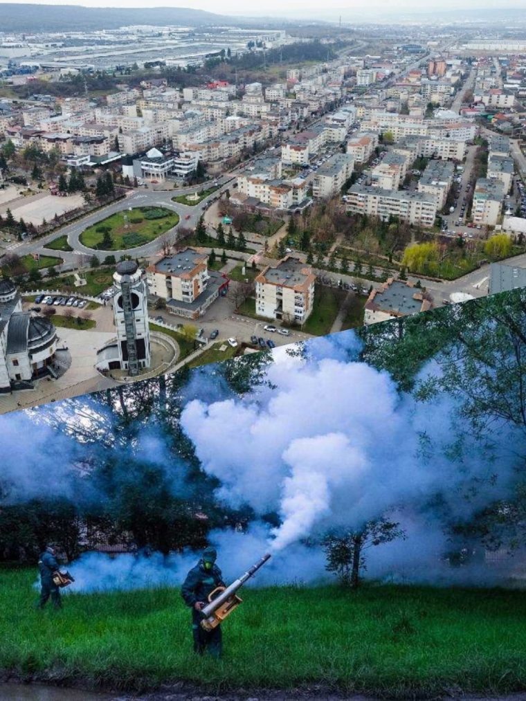 Luni, acțiune de dezinsecție în Mioveni. Zonele de care să te ferești