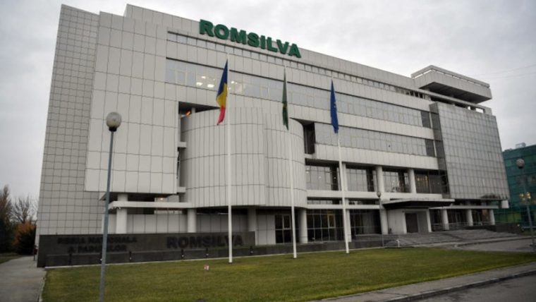 Curtea de Conturi. Zeci de milioane de euro au cheltuit direcțiile silvice cu prime necuvenite