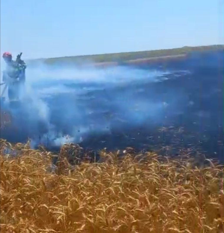 Video. Incendiu în Argeș, la Suseni. Un lan de grâu, compromis
