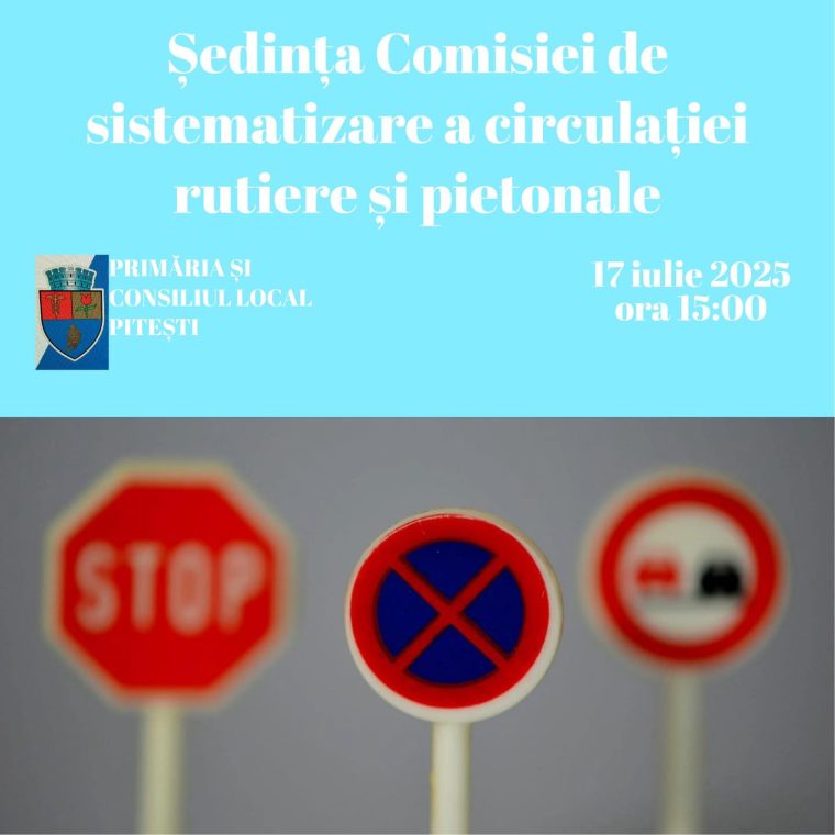 Ședință a Comisiei de sistematizare a circulației rutiere și pietonale în municipiul Pitești