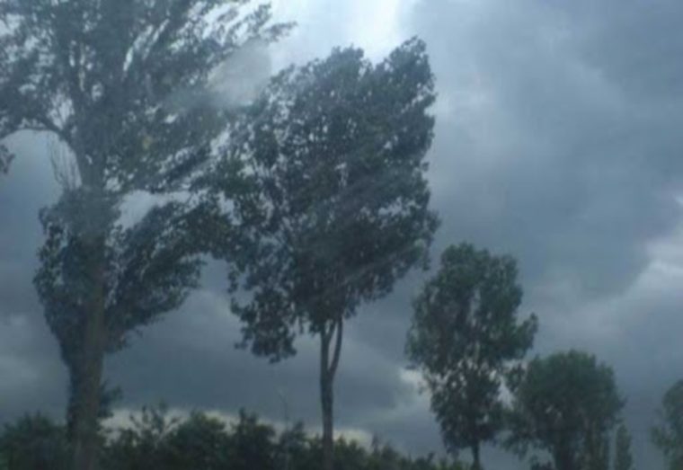O femeie a murit după ce au căzut pe ea elemente desprinse dintr-o clădire, în Otopeni, din cauza furtunii