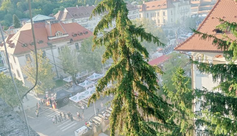 S-a înfumurat Câmpulungul de Zilele Municipiului! Apoi primăriţa s-a operat la Cluj-Napoca
