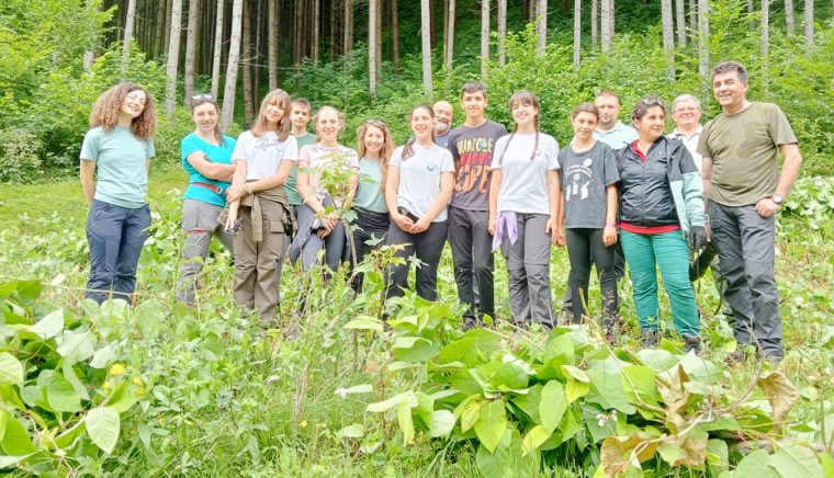 Pe urmele unui „balaur” sau cum am dat cu cosorul în troscotul japonez! O acţiune iniţiată de Fundaţia „Conservation Carpathia”