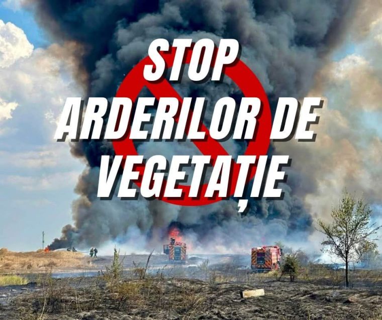 Ce amenzi se dau în Mioveni pentru arderea de vegetație. Canicula crește riscul incendiilor