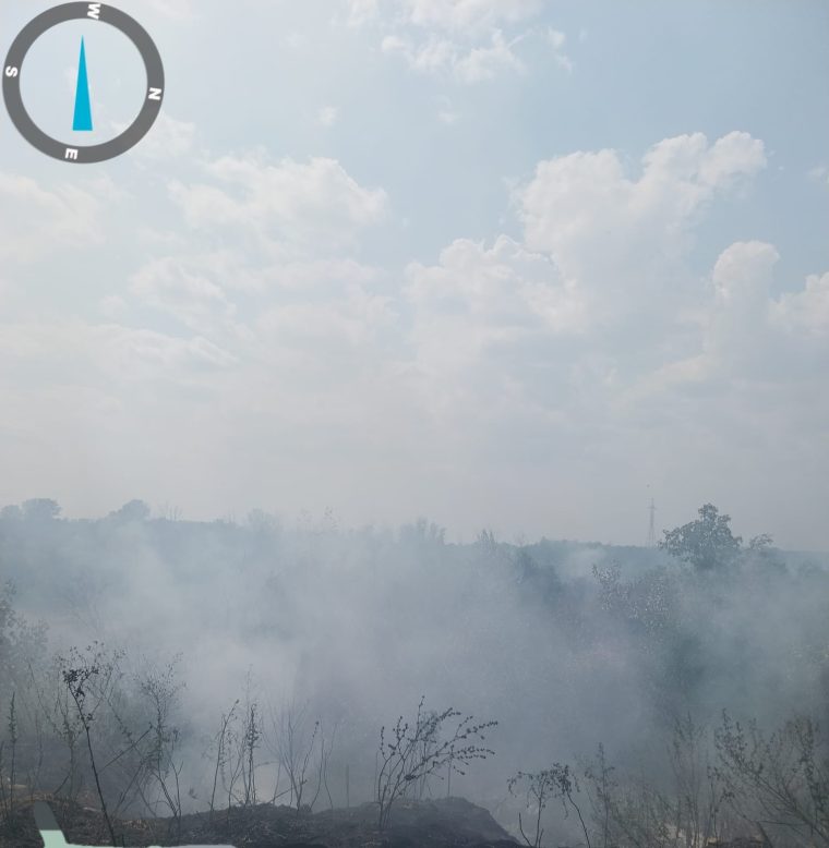 Foc pe două hectare de vegetație la Leordeni