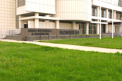 Ministerul Mediului organizează, luni, dezbatere publică pentru selecţia şefului interimar de la Romsilva